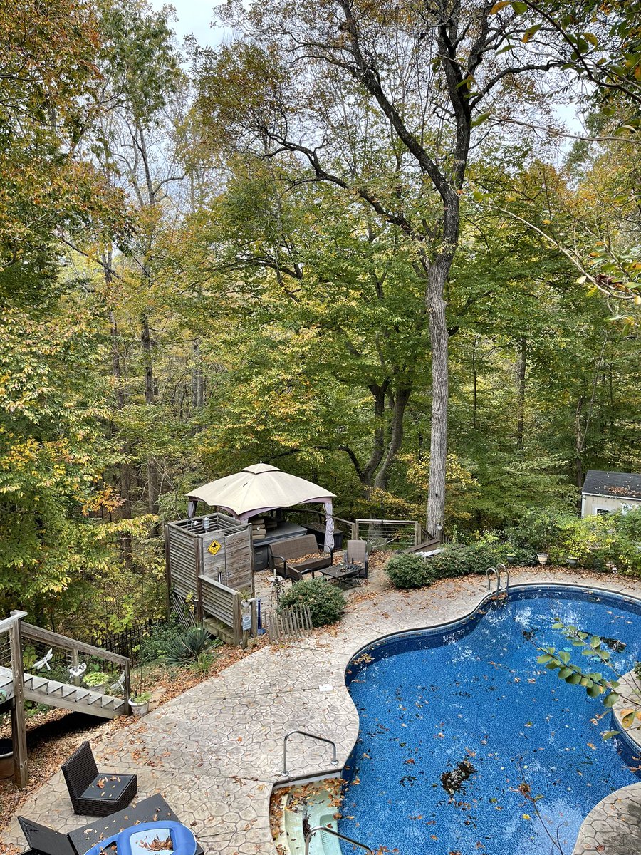 DanielGravesWx's tweet photo. Enjoying the backyard views on a chilly Saturday in Raleigh! It’s been awhile since I’ve tweeted, so here I am! 😀 #ncwx https://t.co/2BhU69FkAX