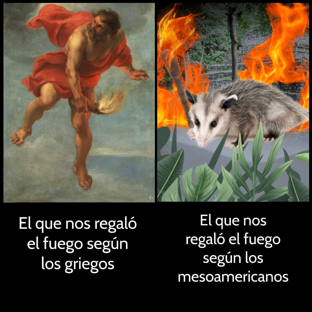 ErendiraTecpatl's tweet image. Te quiero mucho tlacuachito. 🔥💜