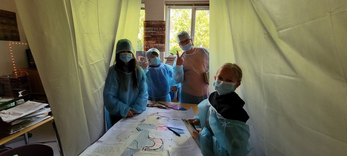 MrsMilo_PolkES's tweet photo. #MiloCrew surgeons at work! https://t.co/Q6tifXmYrq