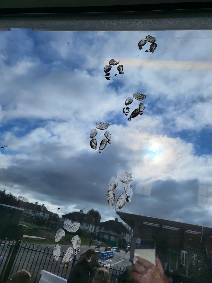 Jane Casson tweet media