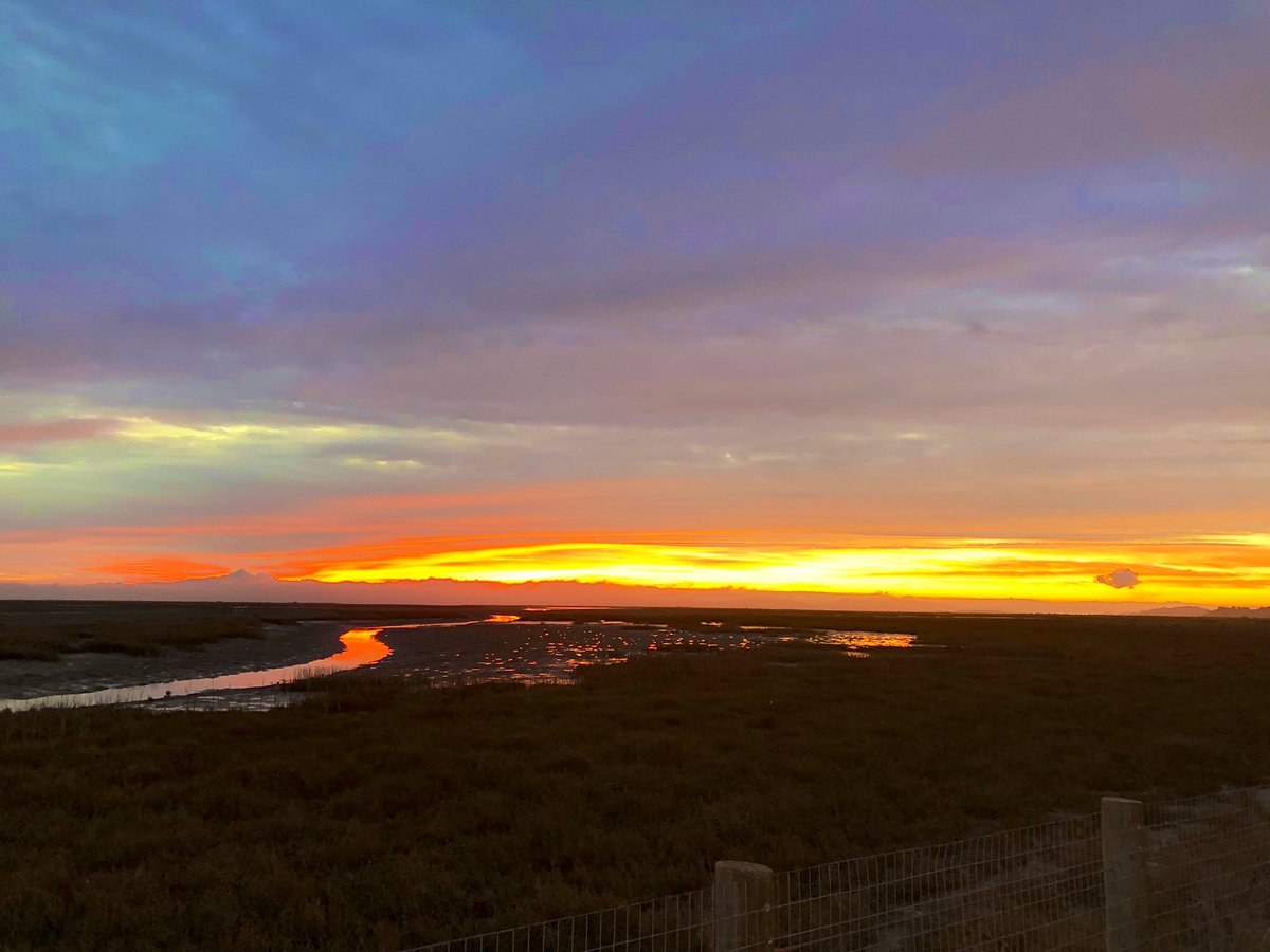 mydogwontbite's tweet photo. good morning and happy saturday! #sunrise #marin #hamiltonfield #baytrail https://t.co/J2oAwzjPyV