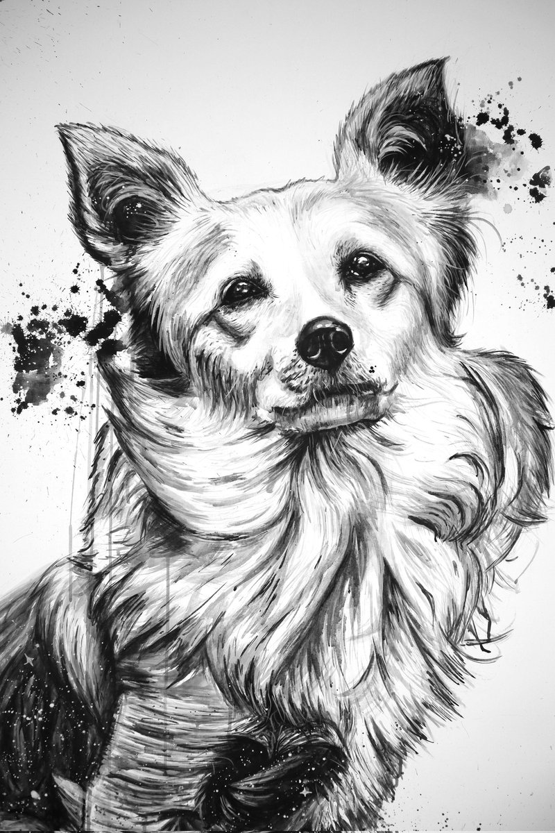 chimze_art's tweet photo. Biggest piece I've ever worked on. Thank you for the honor my man😀🤝 even happier that I got to paint this cute lil dog. https://t.co/OqMKzhDmUk