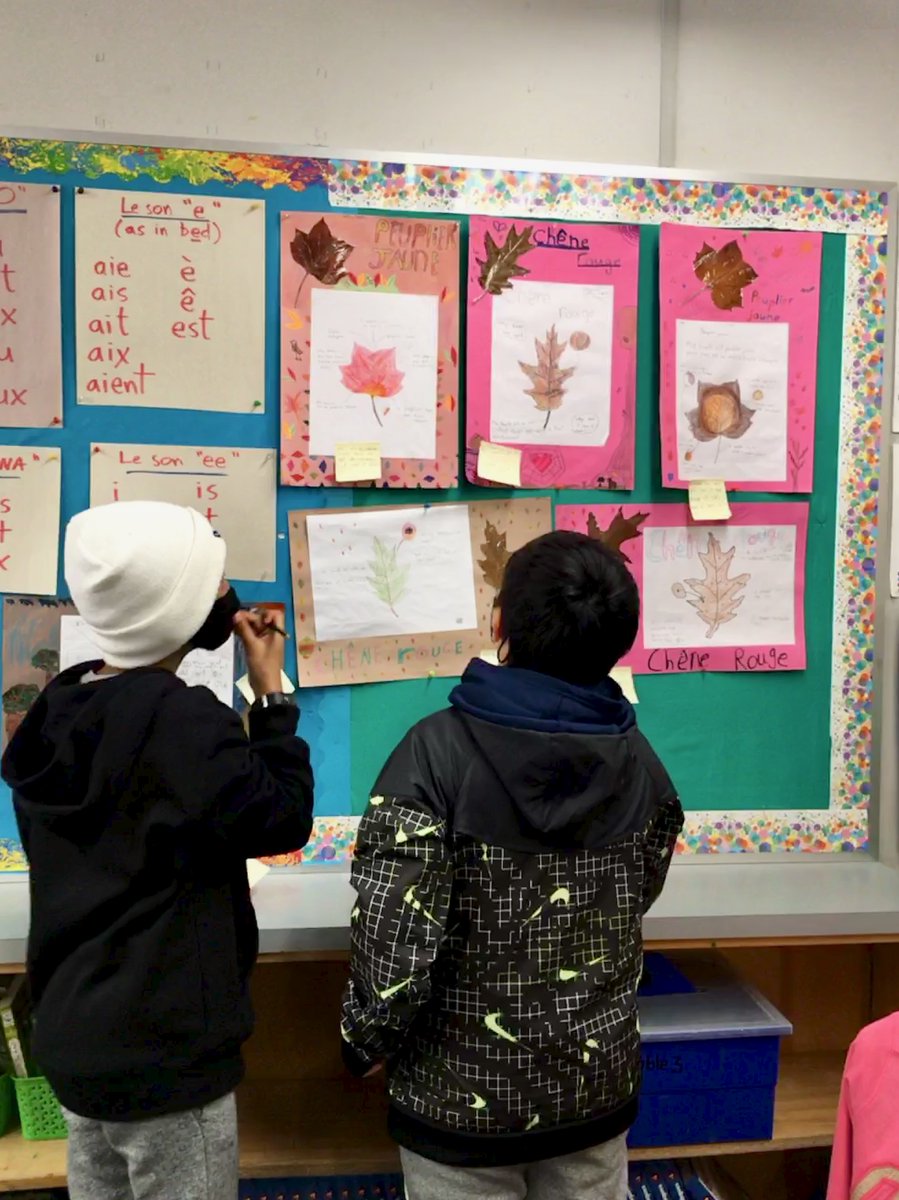 ph_butler's tweet photo. Gr4 French Immersion Ss had fun making posters about local trees and habitats this week. Les élèves d'immersion moyenne se sont bien amusés cette semaine en apprenant des arbres et habitats locaux  
@TDSB_Grenoble @TDSB_fsl https://t.co/PiBs05zd1d