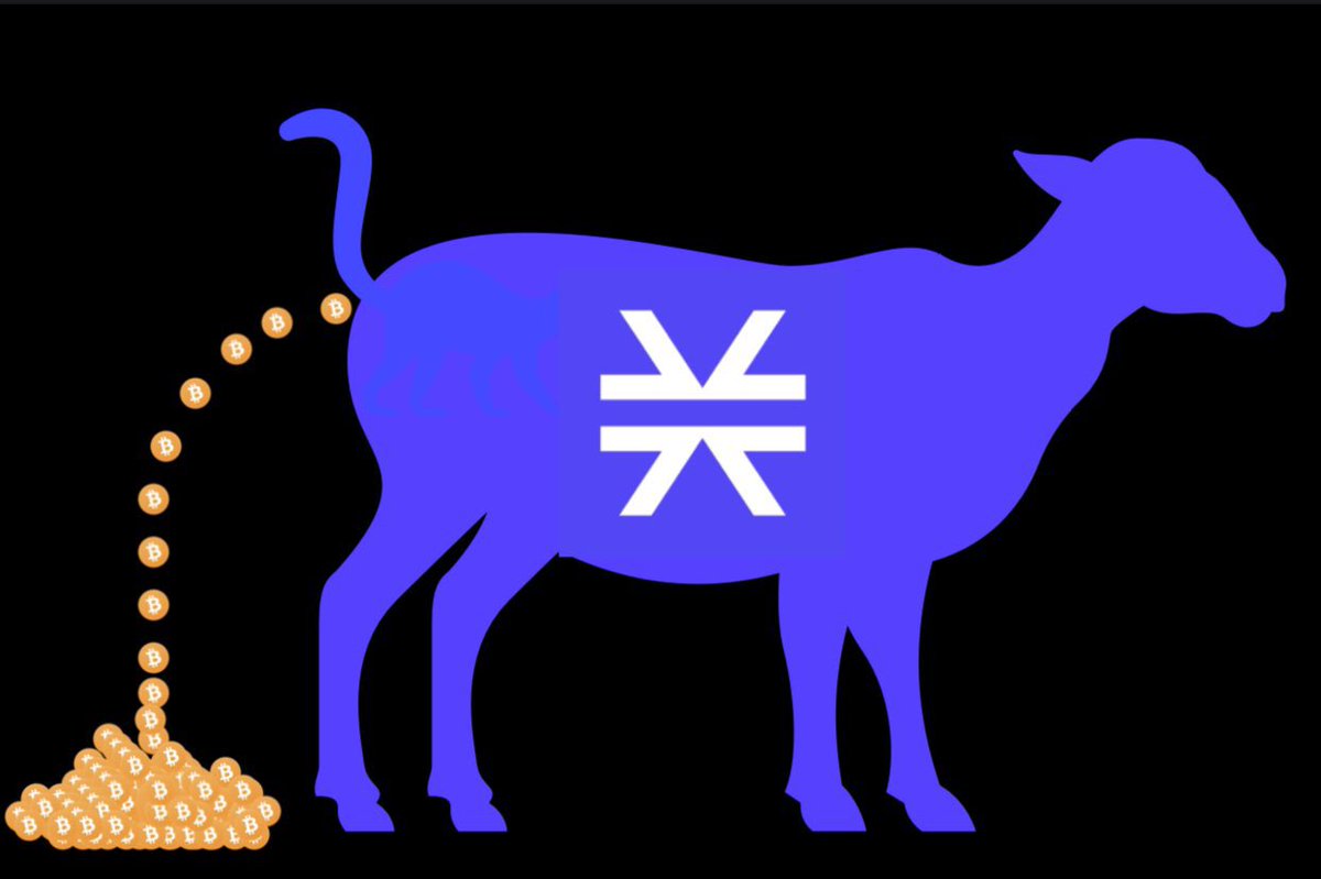 chimp_bunker's tweet photo. you’re right, $STX is a shitcoin #stx #btc https://t.co/Sw1JkUoVUA
