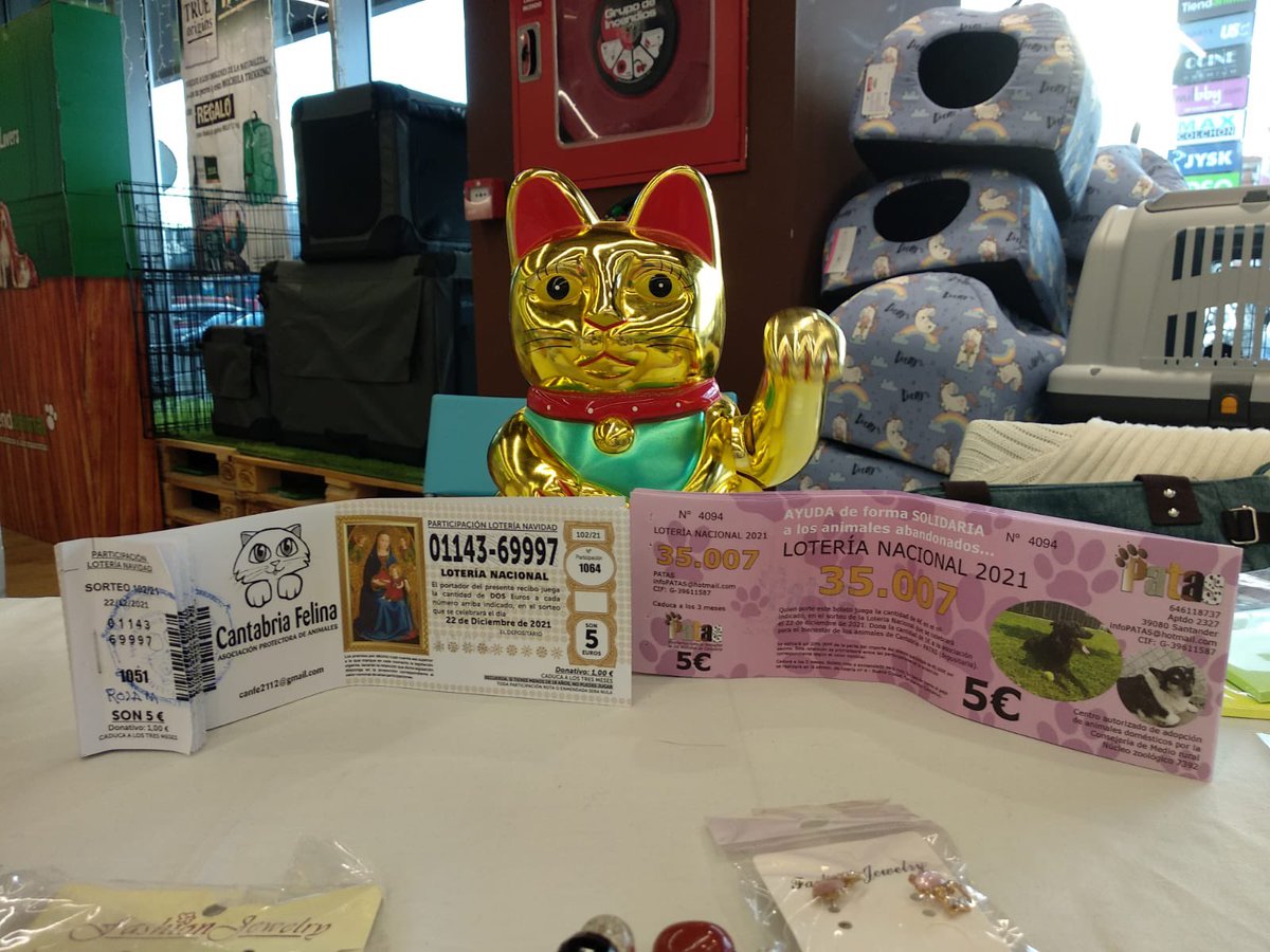 CantabriaFelina's tweet photo. Este año toca!!! Nuestro gatito de la suerte esta siempre protegiendo la lotería 🤣 Acércate a @tiendanimal en Maliaño y podrás comprar nuestra lotería y la de @ProtectoraPATAS Os esperamos!!
#6Noviembre #rt https://t.co/8RptG5GZ6x