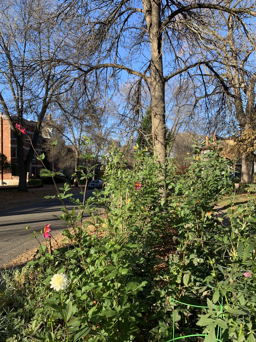 Susan T Schuster tweet media