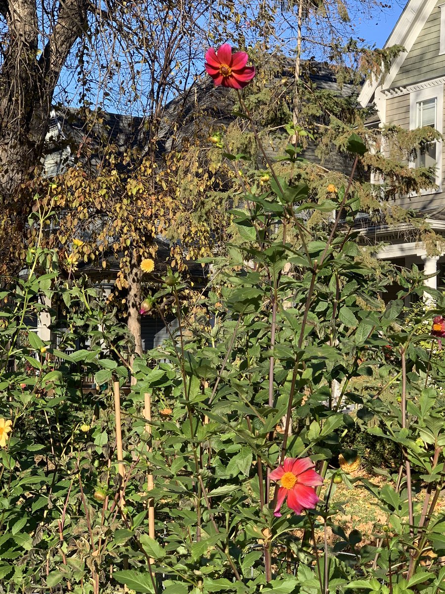 Susan T Schuster tweet media