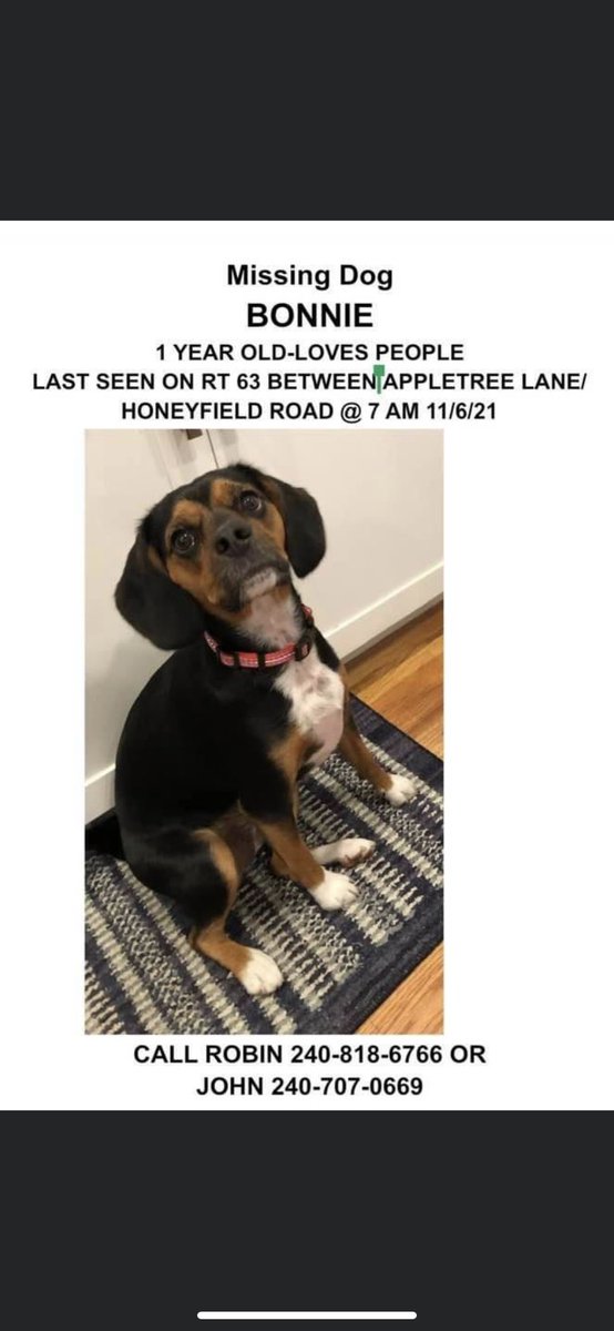Please share, we lost our puppy Bonnie this morning in Williamsport contact me or my parents if you see her❤️