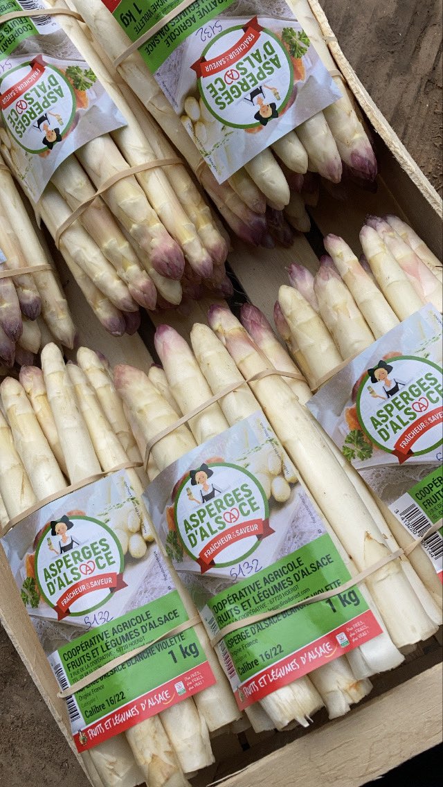 helene_flm's tweet photo. En attendant ton retour sur Terre @Thom_astro
, voici quelques photos de notre #ArtGriculture française pour ne pas être dépaysé à ton retour... Tu peux compter sur les @Fragritwittos pour faire vivre ce hashtag ! D'ailleurs #RejoinsNousFrAgTw https://t.co/1omeP8jUZF
