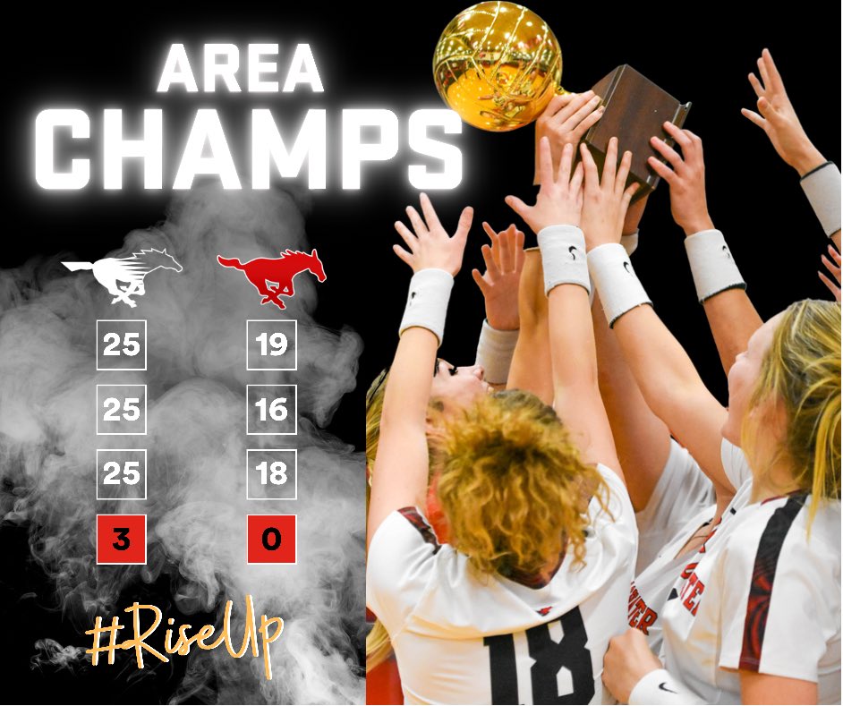 shallowaterisd's tweet photo. Say hello to your AREA CHAMPS!! Congrats to the Fillies on a great victory over Denver City in the Area Championship! #RiseUp #InAClassOfOurOwn https://t.co/krECYYXFdd