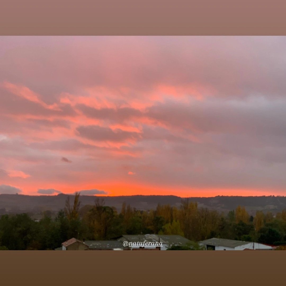 NatuFerana's tweet photo. #natuferana #atardeceresporelmundo #atardeceresmagicos #atardecer #atardeceres #cielosbonitos #cielos #palenciamola #palenciadiferente #palenciaconp #estaes_palencia #total_palencia #cyl #cylesvida #eltiempo #eltiempobrasero #aquilatierra #colores #palencia #buenasnoches #feliz https://t.co/krayO2Q8Kk
