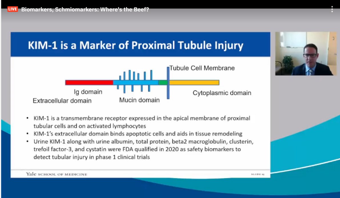 drM_sudha's tweet photo. #Nephrocheck - FDA qualified
#KIM1 - FDA qualified
But there is a lack of effective therapy for AKI
#ASNKids21 #KidneyWk #Biomarkers #AKI
@ASPNeph @AspnResearch @ASNKidney https://t.co/jNv18M9gnH