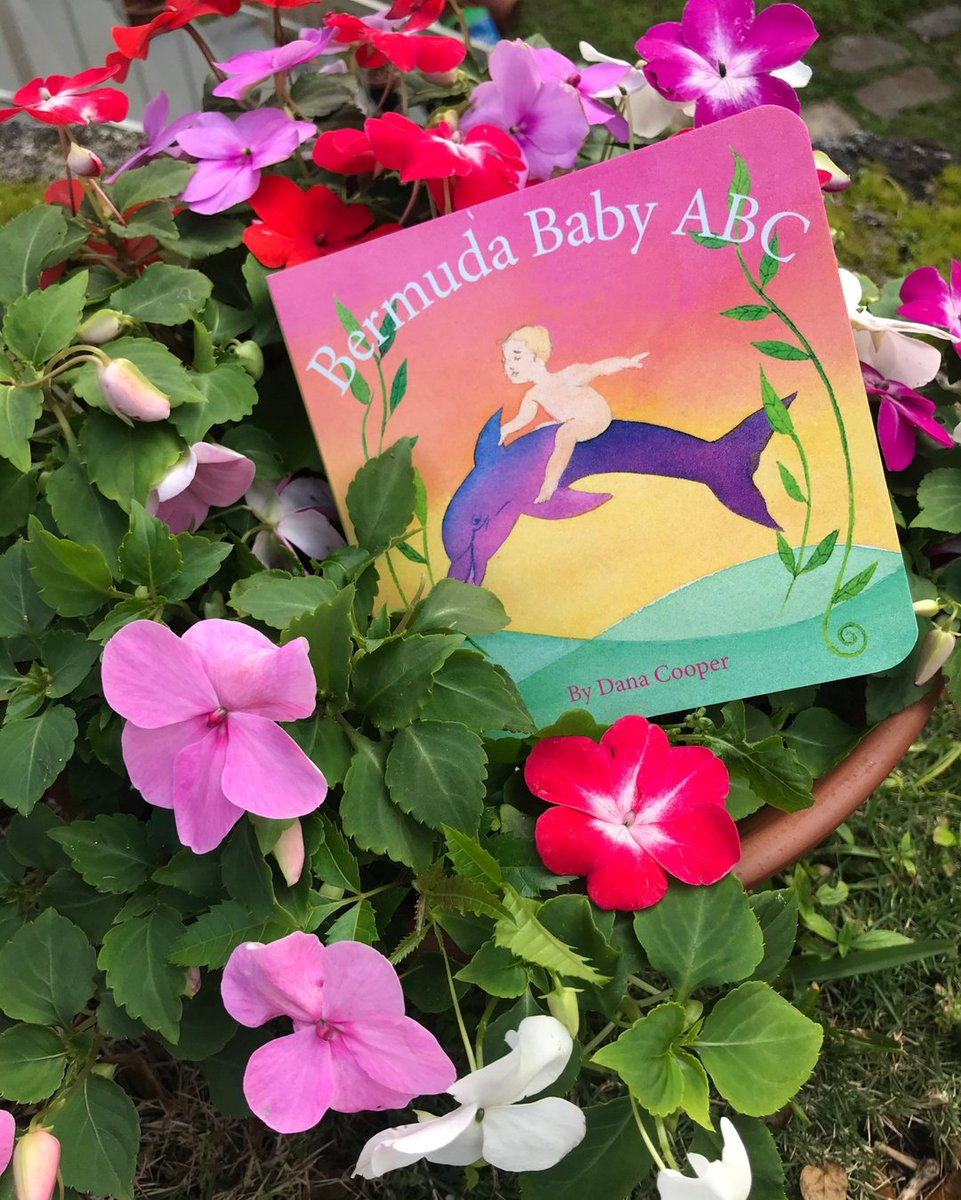 danabermuda's tweet image. An all time classic, a perfect gift for the little ones. . .
. 
. 
. 
#danacooper #danacooperbermuda #palmlanebermuda #bermuda. #baby #book #babybook #gotobermuda #islandlife #beach #wearebermuda #bermudaful #caribbean #summerfashion #vacationwear #cruisewear #beachboutique #holi