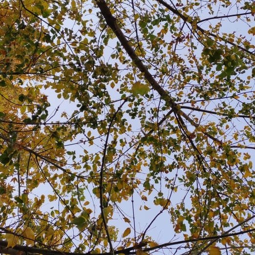 nasser (@nasser52174857) on Twitter photo 