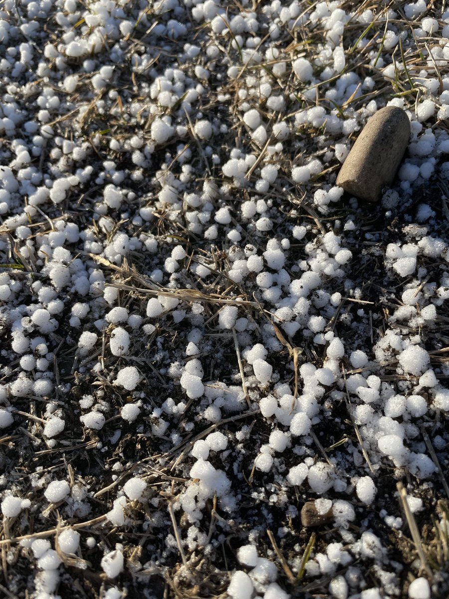 rstrilchukMNP's tweet photo. Hail in November. I should put in a claim. #weirdyear https://t.co/Ibe55RWbbH