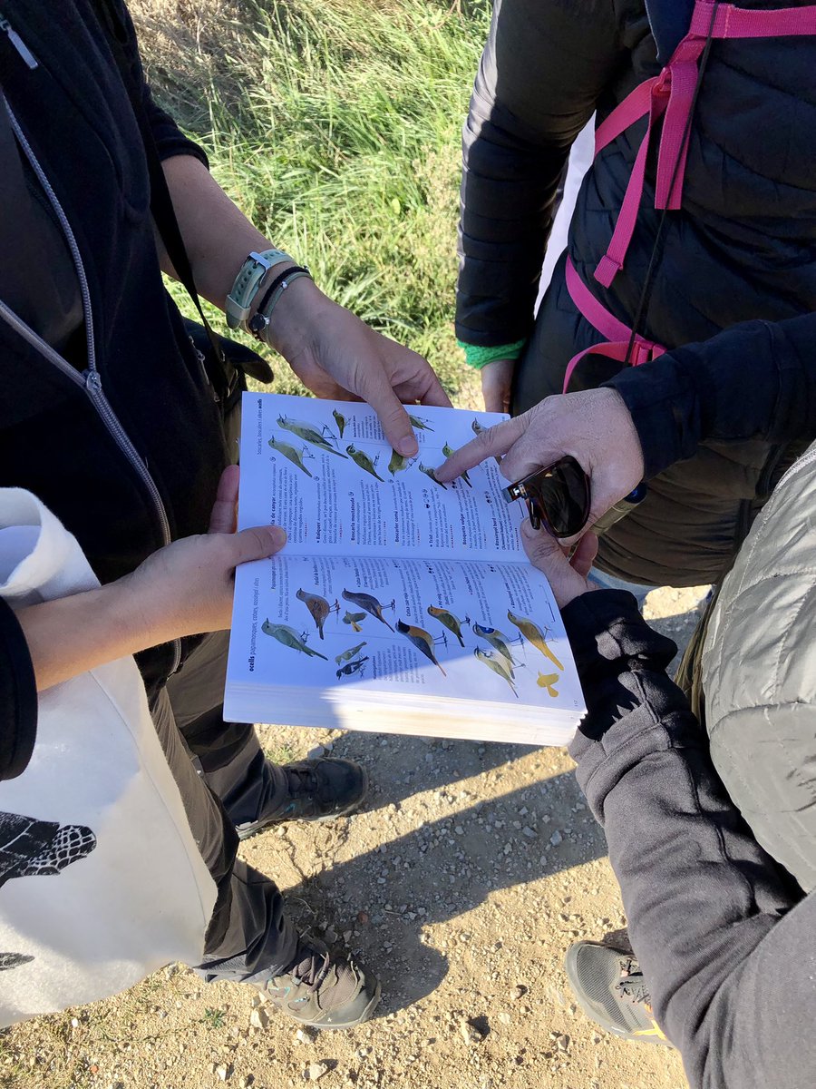 sealtemporda's tweet photo. La tramuntana no ens atura #dissabtesDocents
#XarxaEscoles #PNCapdeCreus #som50 Avui:flora i fauna (I) biodiversitat als marges, alsines, clau dicotòmica, alosa, cogulla, birdnet #EscoltarElSilenci #ODS #Taller4de5 @parcscat @educaciocat
@emporda_info
@cesirecat @JosepGCamb https://t.co/ReLUpkyjUv