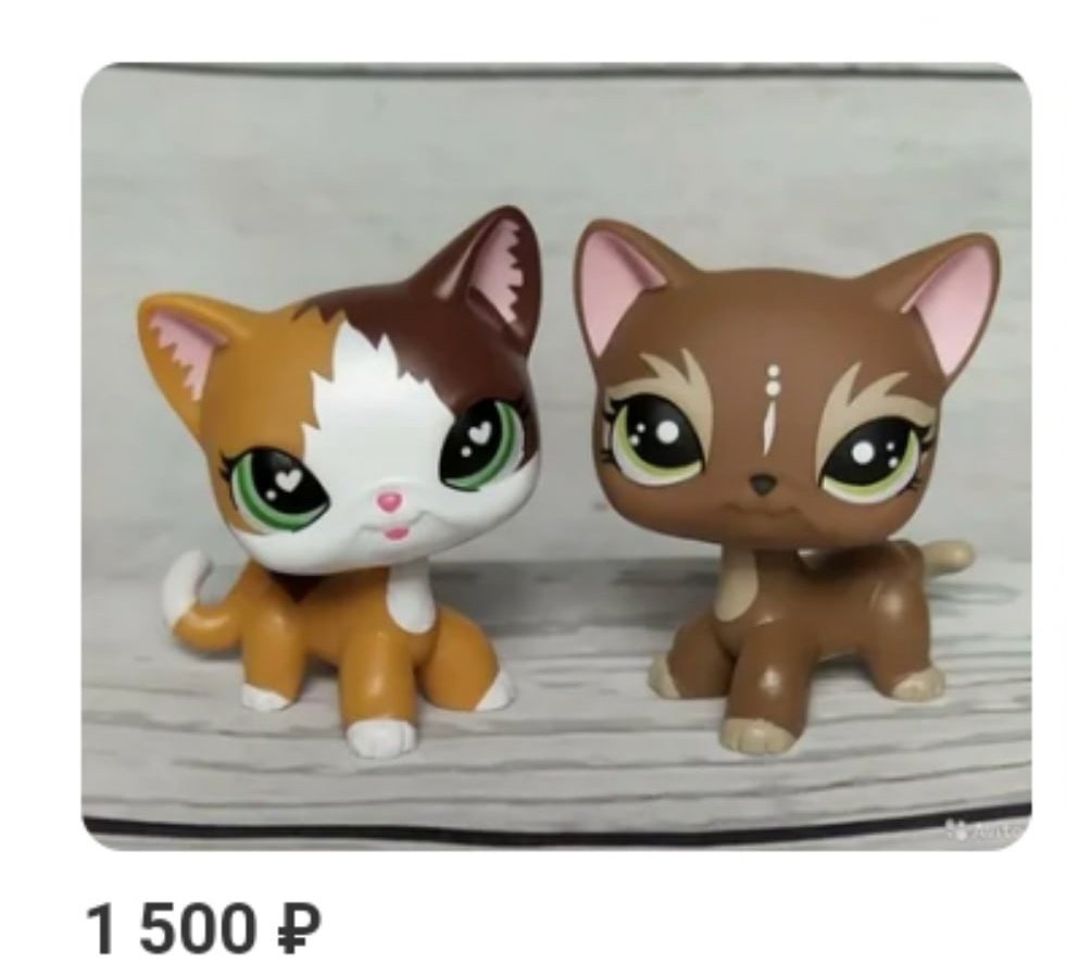 картинки кошки стоячки