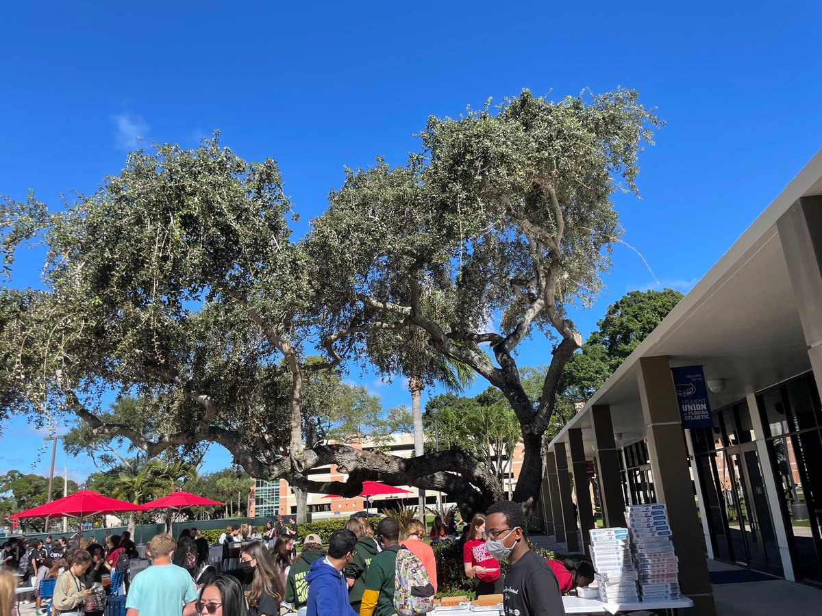 The PPCHS CHAT tweet media