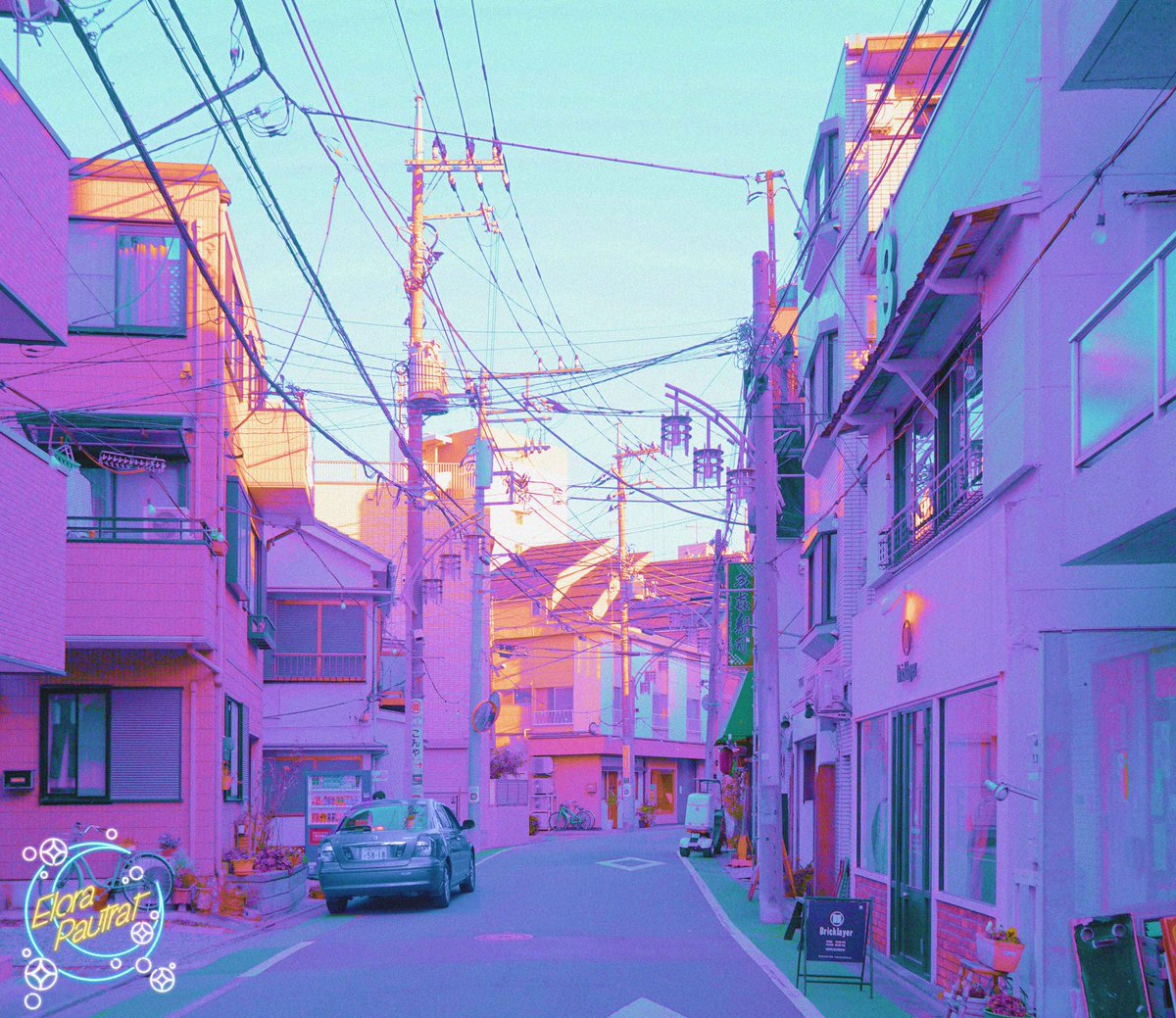 Elora 🌙 tweet media