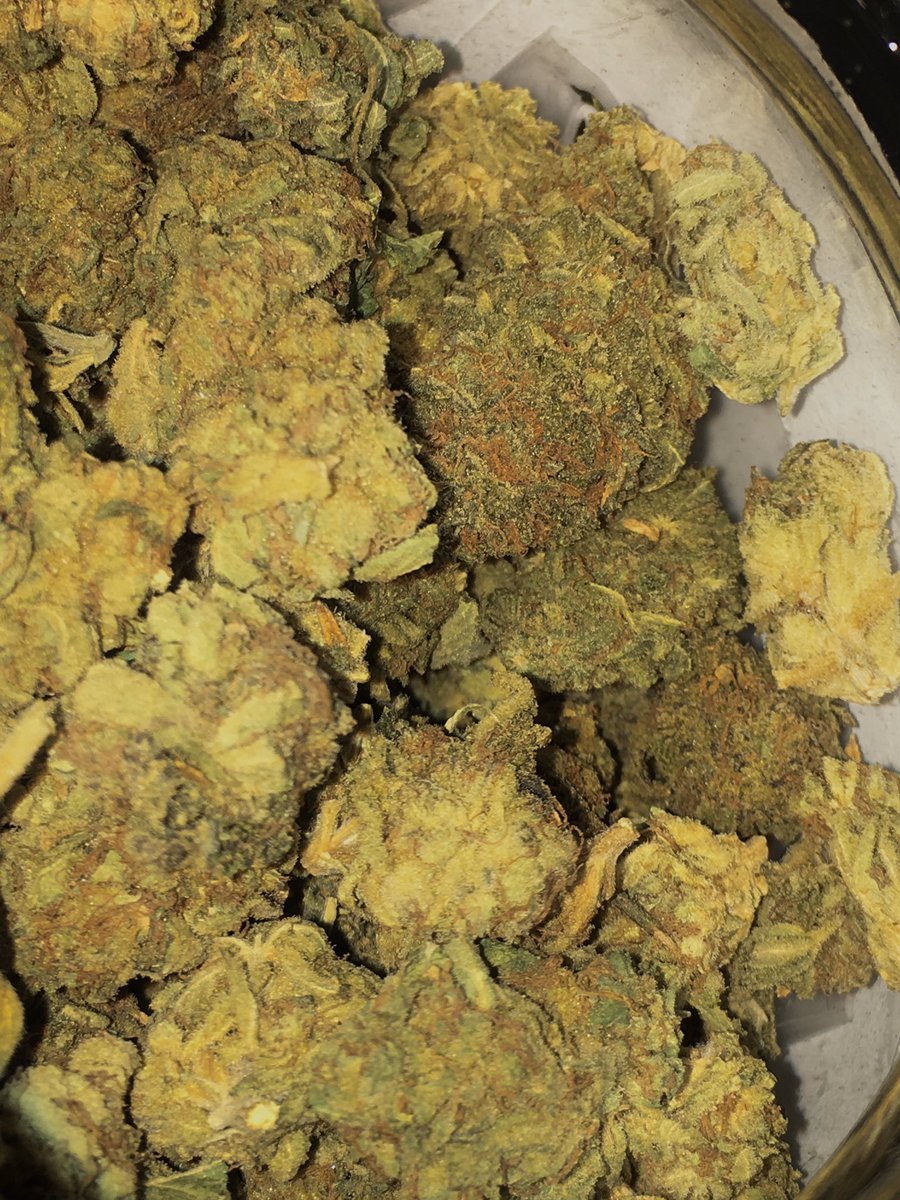 Greenpeacedisp1's tweet photo. Candy Store perfect for treating conditions such as depression, chronic stress or PTSD, chronic pain and nausea or appetite loss. A hybrid strain with the terpenes Terpinolene, Limonene, and Caryophyllene. https://t.co/NDbuQ1nhx4