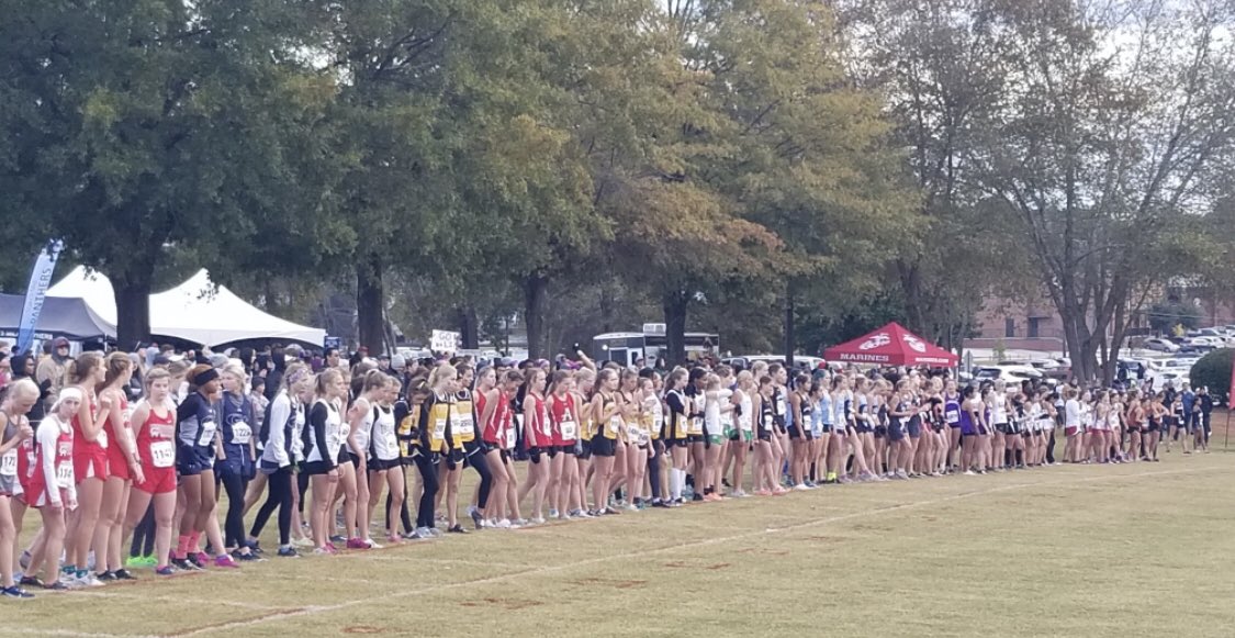 Richmond Hill Wildcats Athletics tweet media