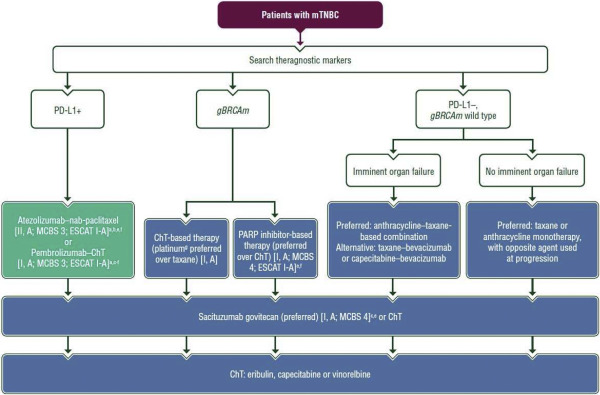 FarmaCHUAC's tweet photo. 🆕Guía ESMO cáncer de mama metastásico 🔎
🛣️ Integración de fármacos novedosos/recientes en algoritmo de tratamiento  💊 tucatinib, sacituzumab,  trastuzumab deruxtecan, neratinib
#breastcancer @myESMO 
https://t.co/EOYK5M0WJr https://t.co/KKCXvSanNl