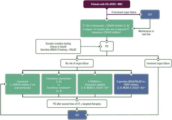 FarmaCHUAC's tweet photo. 🆕Guía ESMO cáncer de mama metastásico 🔎
🛣️ Integración de fármacos novedosos/recientes en algoritmo de tratamiento  💊 tucatinib, sacituzumab,  trastuzumab deruxtecan, neratinib
#breastcancer @myESMO 
https://t.co/EOYK5M0WJr https://t.co/KKCXvSanNl