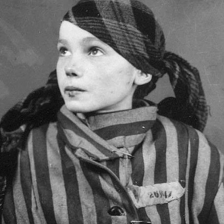 Instituto Nacional Auschwitz Birkenau España tweet media
