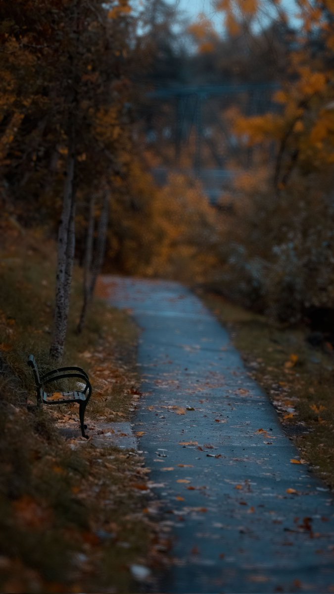 AdjustedPhoto's tweet photo. @TheDanCosta Lonely park bench https://t.co/jLFUzt1tsK