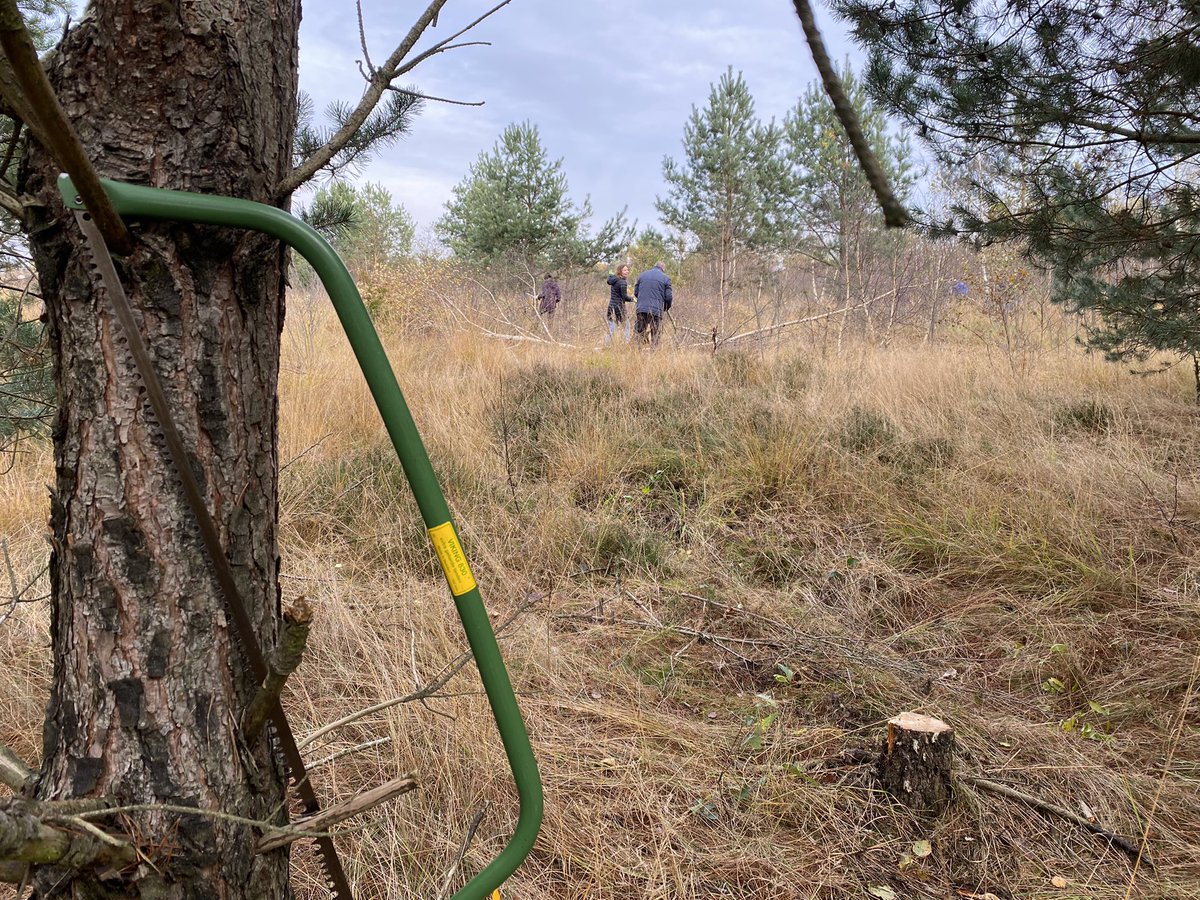Dijkgraaf Mario tweet media