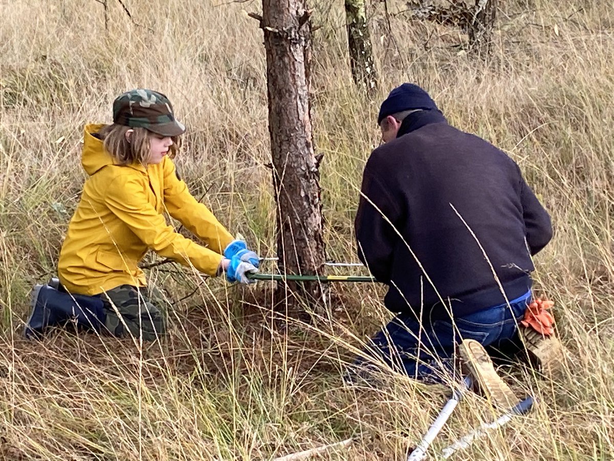 Dijkgraaf Mario tweet media