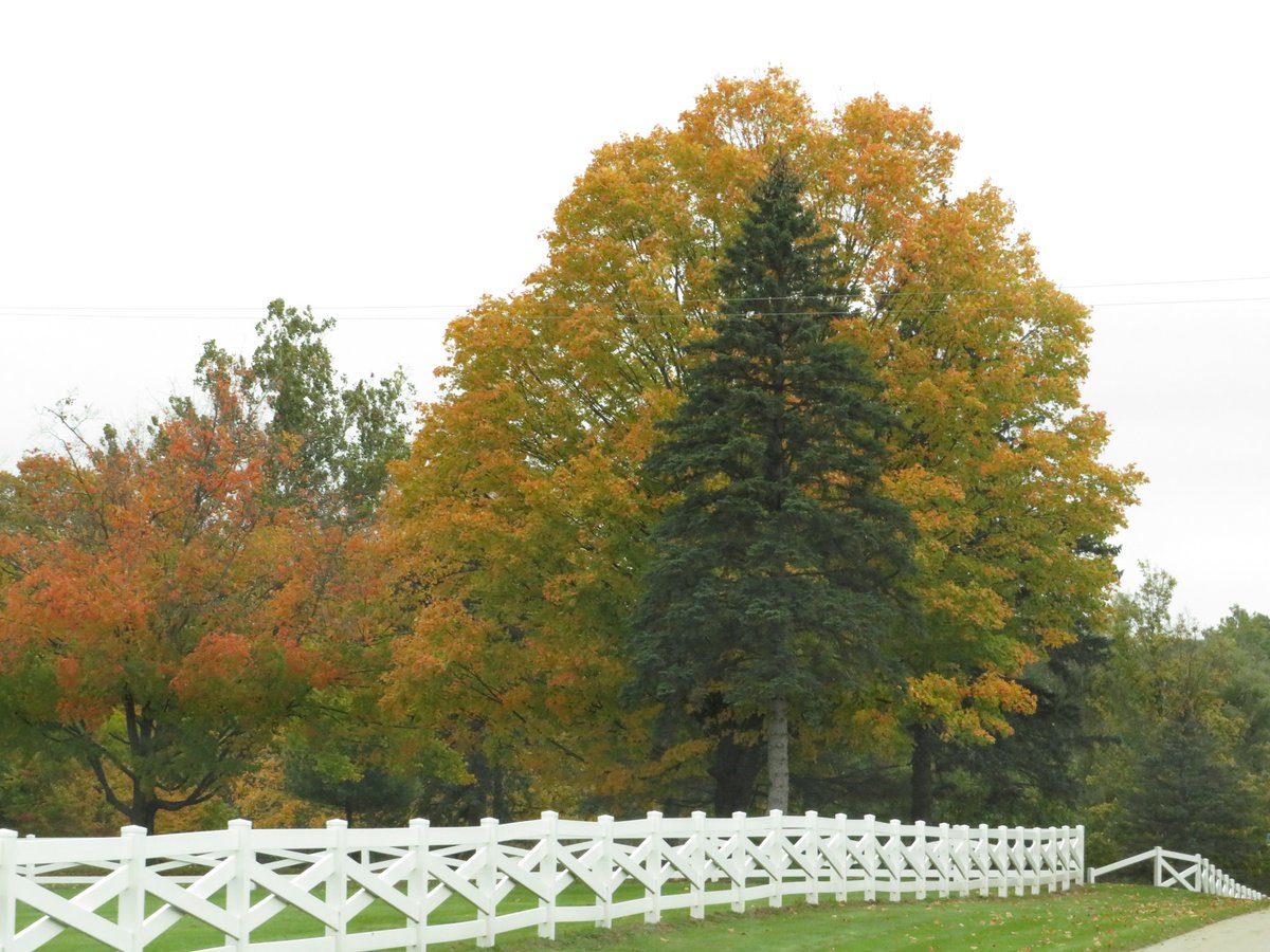 PLKlein_Author's tweet photo. "I'd rather regret things I've done than regret things I haven't done." ~ #LucilleBall #SaturdayMotivation #ThinkBIGSundayWithMarsha #QuickQuotes #ThinkingOutLoud #Regret #ThingsDone #ThingsLeftUndone https://t.co/9KcmHPV4bG