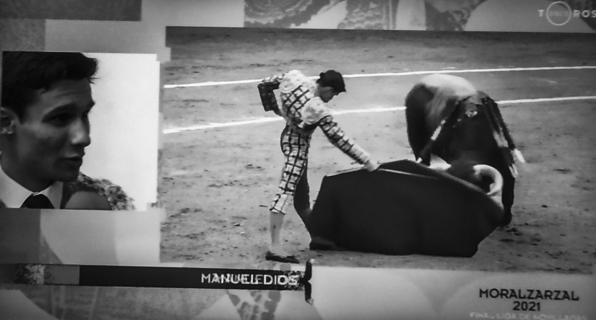 pacomadrig's tweet photo. Gran novillo el que le a tocado a @MDiosleguarde un poco flojo de fuerzas, pero él novillero con su saber estar y su calidad lo ha sacado todo. 
Estoconazo final y una oreja de premio. https://t.co/4yWqkquD78