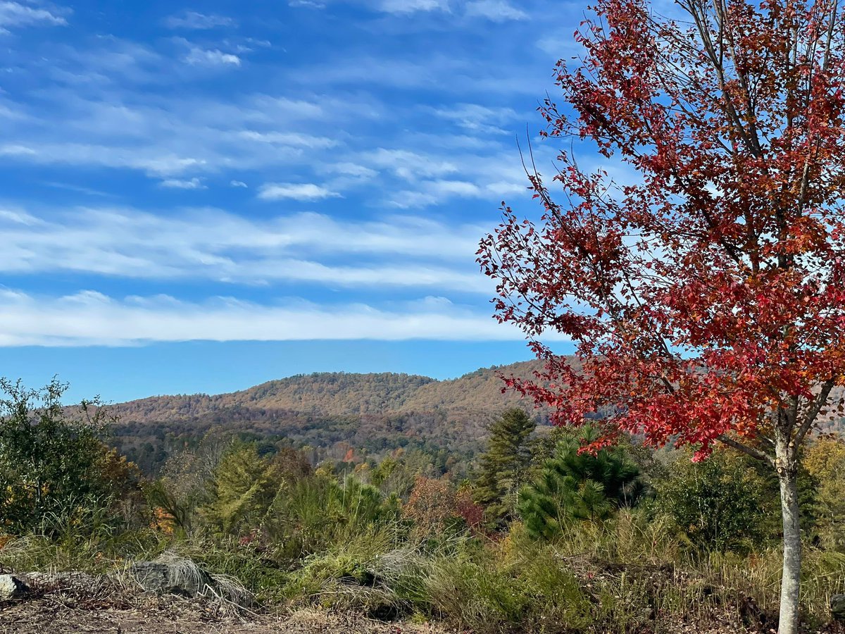 Trucha50's tweet photo. It’s that time of the year when it’s definitely worth to walk outdoors and enjoy the colors of nature #hbs @HBSAlumni https://t.co/1mVeXmCvIN