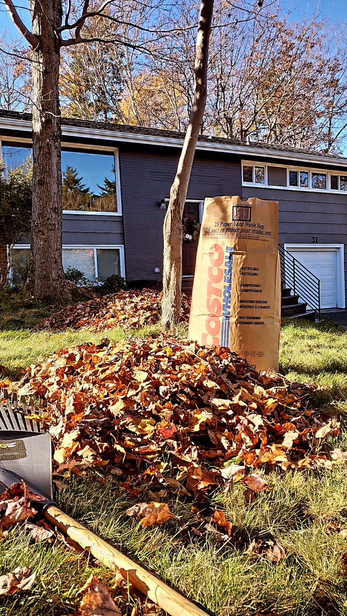 I missed my workout today but I managed to move my body, sweat and get some fresh air so that's a win! #makeyourmove <a href="/NSMoves/">Healthy Tomorrow Foundation</a>