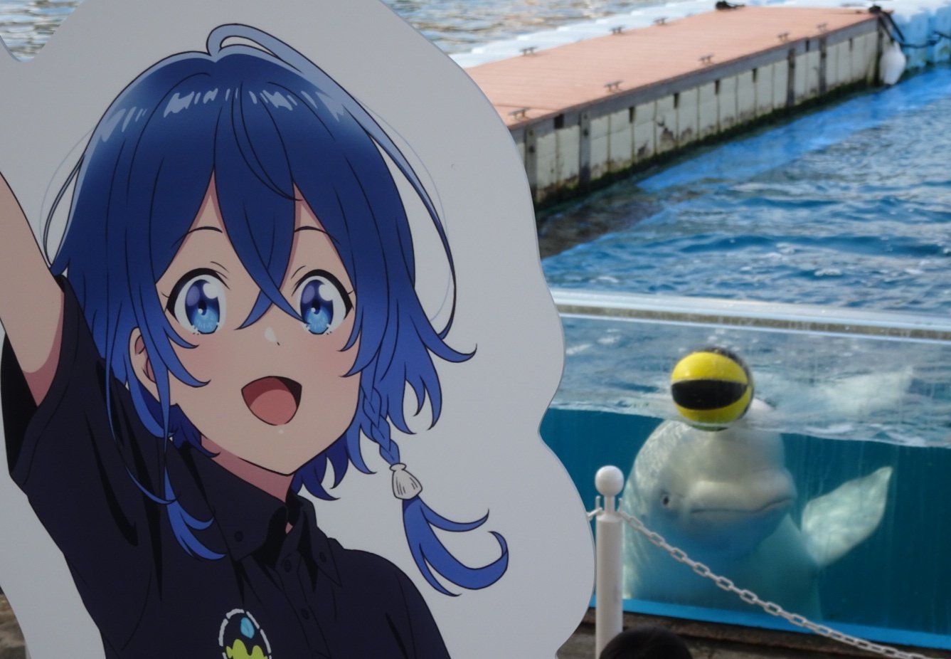 横浜・八景島シーパラダイス×白い砂のアクアトープ ～ペンギンと