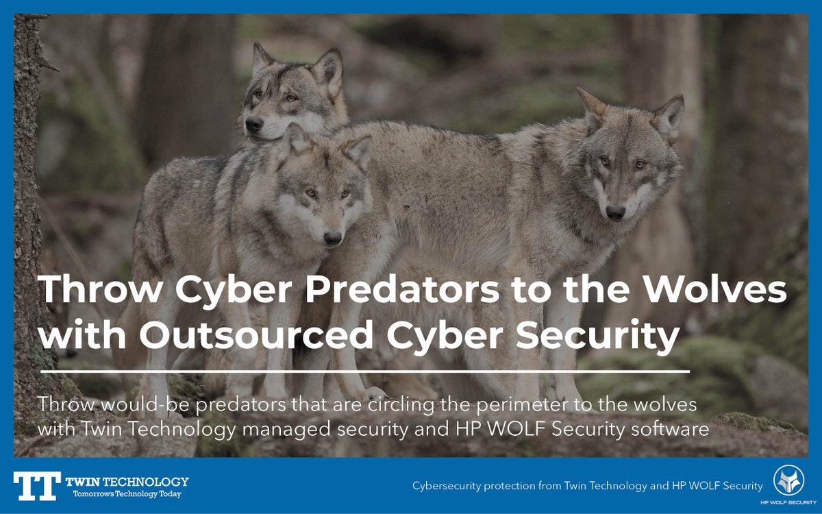 Twin Technology Limited tweet media