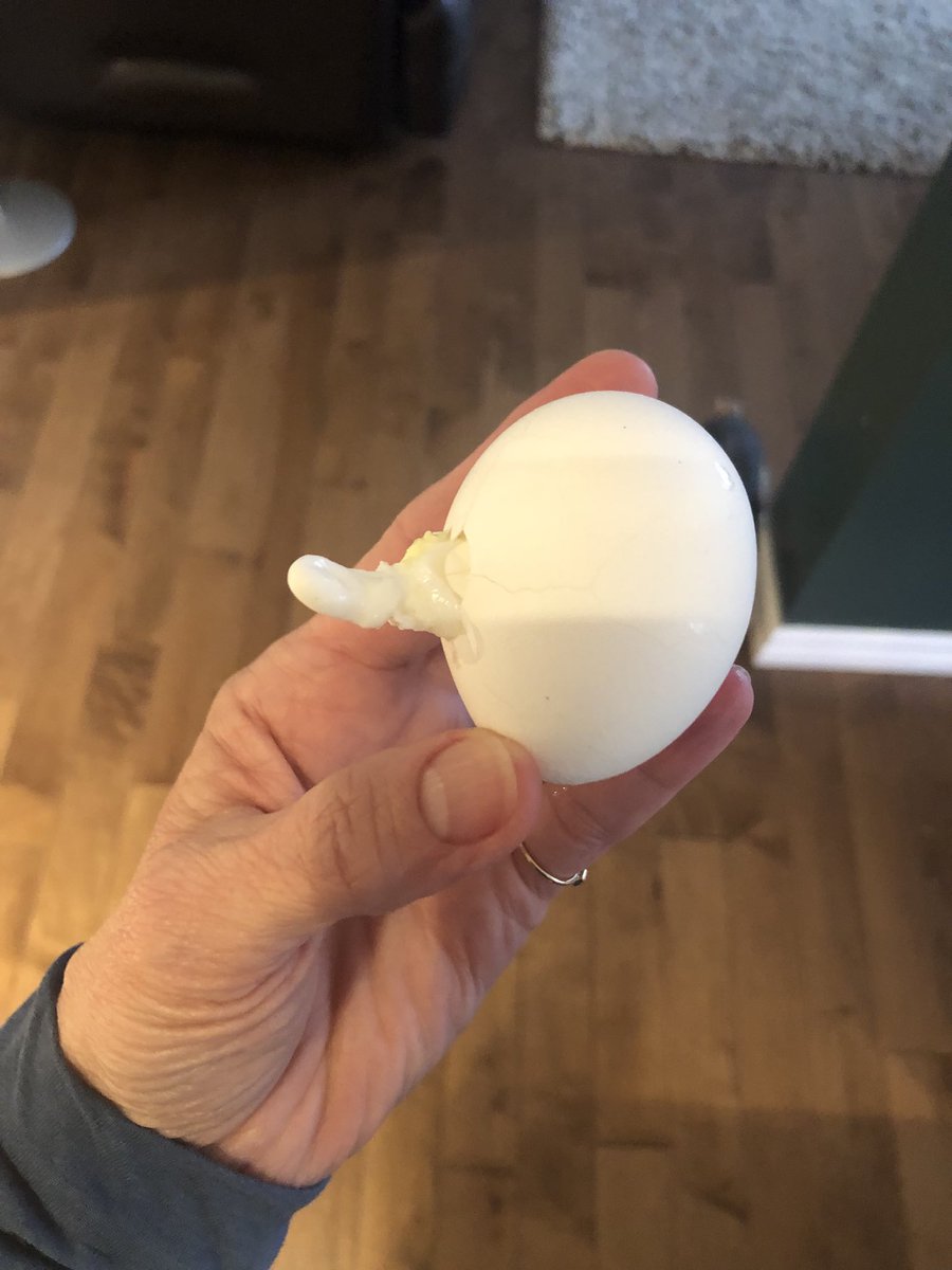 LoriRecT's tweet photo. Hmmm ……🧐                 #boiledegg https://t.co/xM0lMUlcmg