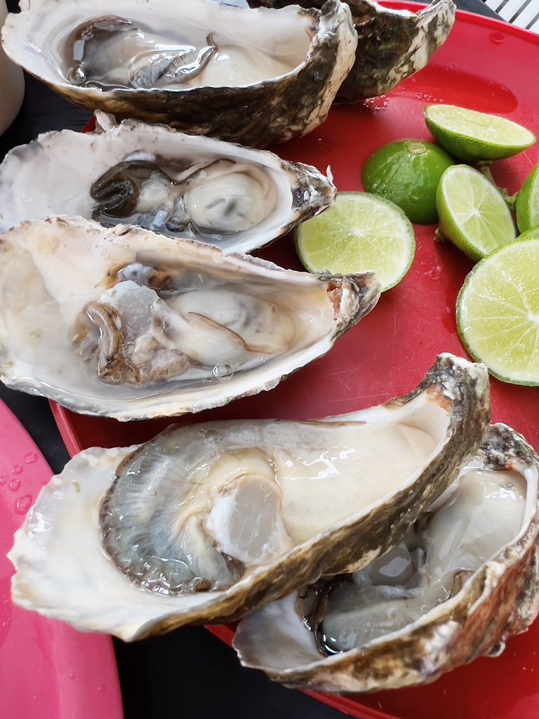 igm_'s tweet image. Good morning to Tijuana and Tijuana only