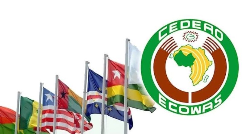 Newsafrika2017's tweet photo. ECOWAS Extraordinarily Summit On Guinea And Mali Opens in Accra On Sunday  https://t.co/k6e6zqtPXt https://t.co/bdJz7J3EZO