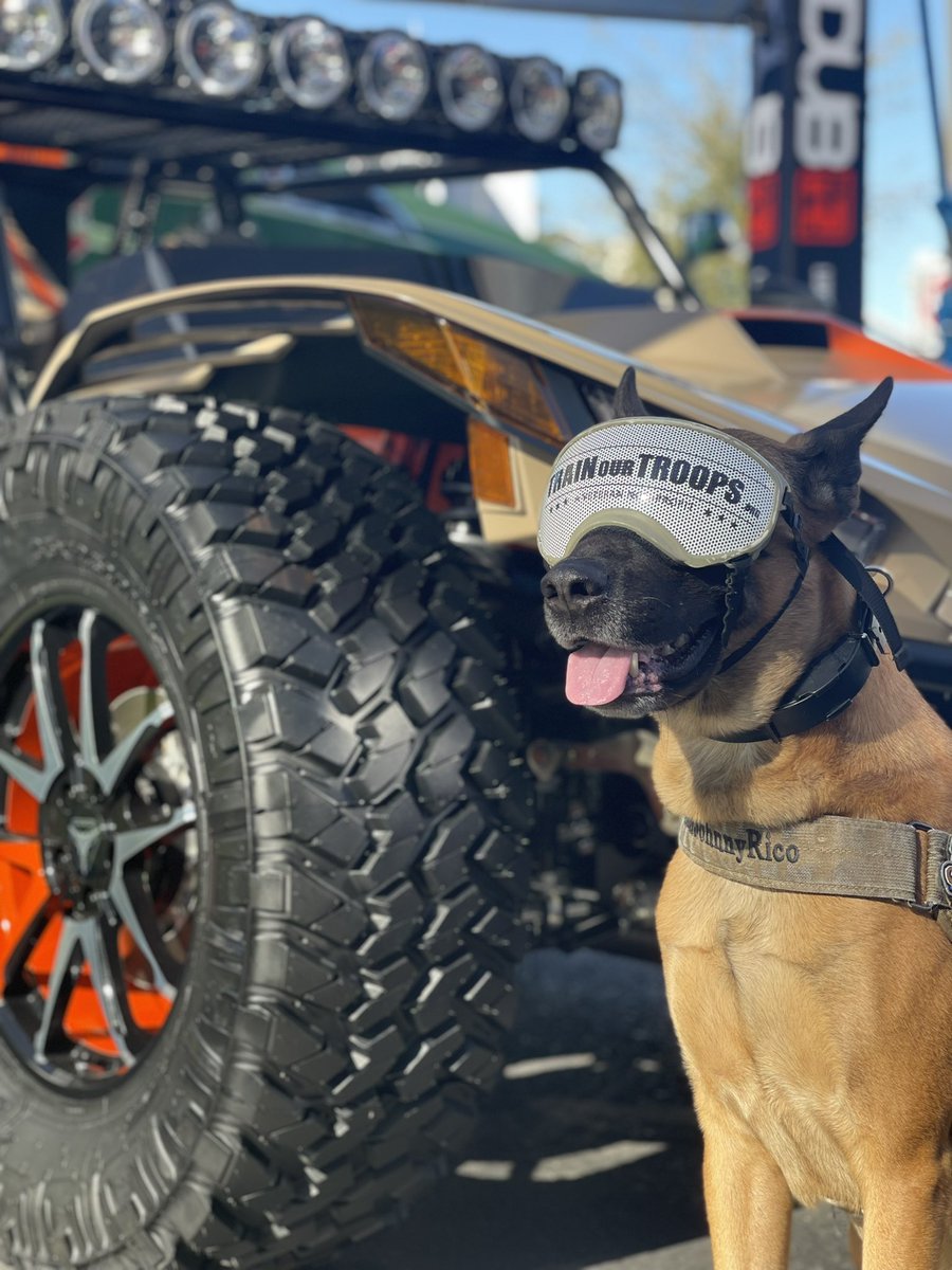 TrainOurTroops's tweet photo. @gasmonkeygarage created this one-of-a-kind Slingshot for @polarisslingshot - unveiled @semashow - earplugs needed. #informa #channelpartners #cpexpo #veterans #vegas #mandalaybay #sponsors #granitetelecom #granitechannels #cisco #datagatebilling #ninjaone #ninjarmm #lifecyclemsp https://t.co/3QIohAZ4aK