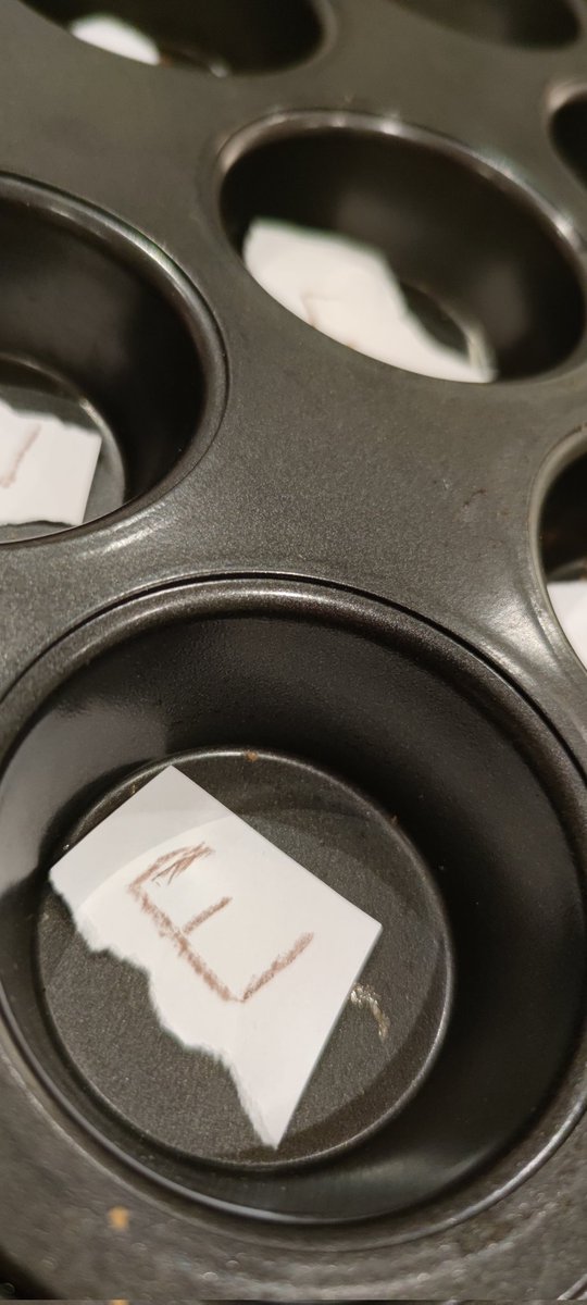 Little man has made brownies, so I have to go taste them. Only to find a tray of Brown E's on paper. <a href="/RealMattLucas/">Matt Lucas HQ</a> this is your fault and that book. 😂 (He loves it 😁)