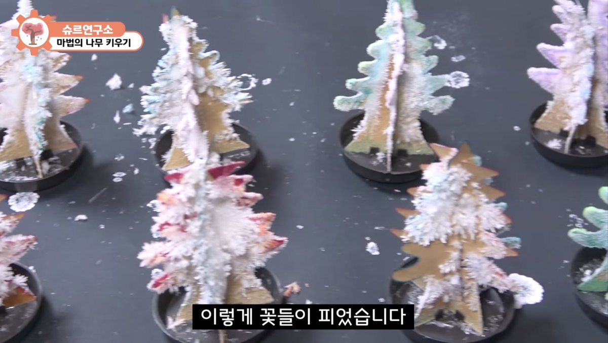 shuru_lab_jogyo's tweet photo. #rt 슈르연구소 구독자 5만 기념!! 알티이벤트 합니다. 얼마 남지 않은 크리스마스, 부피 많이 차지하는 큰 트리대신 귀여운 결정나무를 곁에 둬보세요! 총 4분께 드릴 예정입니다. 당첨자 분들껜 슈르연구소 구독 인증 받겠습니다. 많은 참여 부탁드립니다~!!
#슈르연구소 https://t.co/bX6h7Y30VF