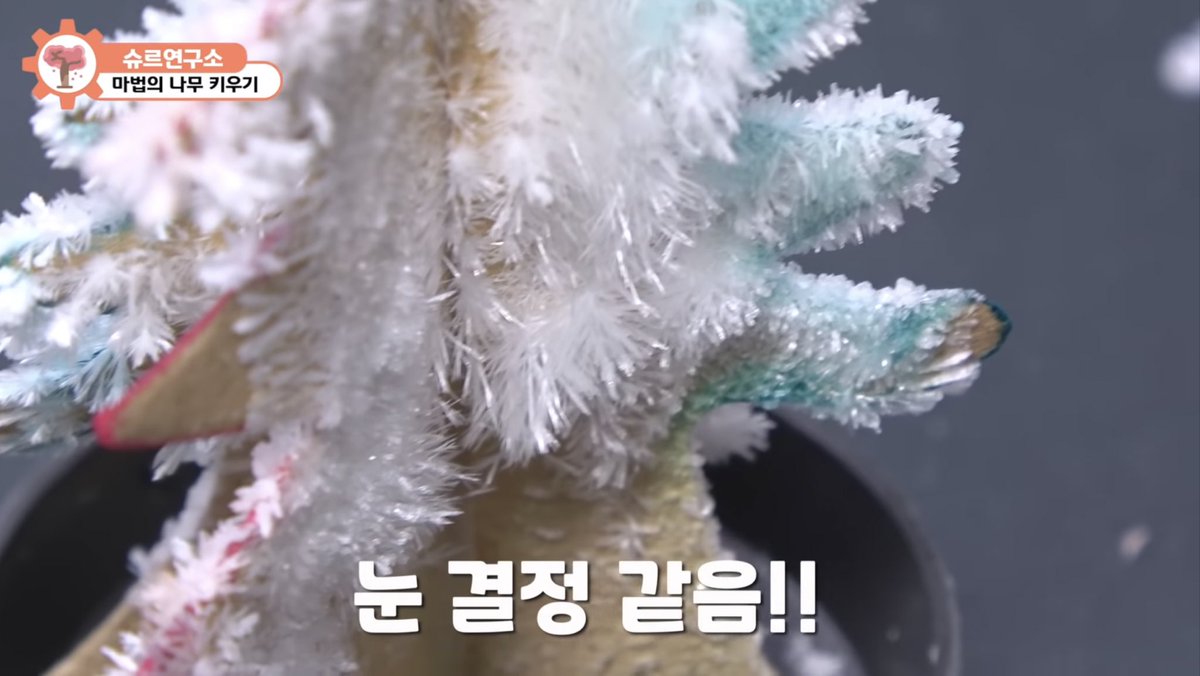shuru_lab_jogyo's tweet photo. #rt 슈르연구소 구독자 5만 기념!! 알티이벤트 합니다. 얼마 남지 않은 크리스마스, 부피 많이 차지하는 큰 트리대신 귀여운 결정나무를 곁에 둬보세요! 총 4분께 드릴 예정입니다. 당첨자 분들껜 슈르연구소 구독 인증 받겠습니다. 많은 참여 부탁드립니다~!!
#슈르연구소 https://t.co/bX6h7Y30VF