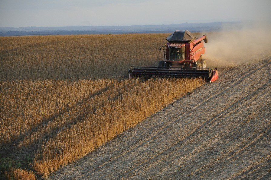 pennstate_perry's tweet photo. Soybean Production Workshop on December 13 at the Perry County Extension office.  Pre-register by December 11.  Cost is $10 and includes lunch. https://t.co/xSPY9HPNtd https://t.co/JXsXV01l8S