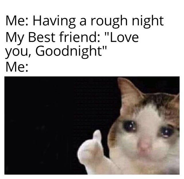 WholesomeMeme's tweet photo. https://t.co/bXbRnjhxs1