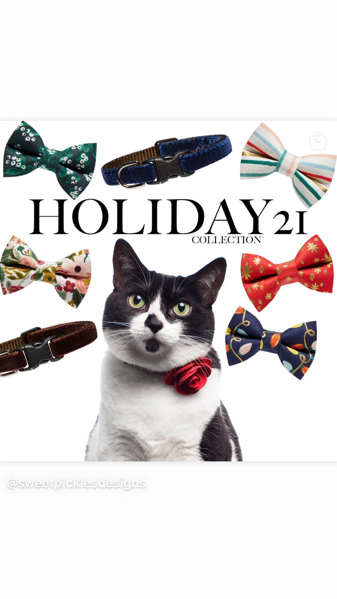 SweetPicklesD's tweet photo. Holiday 2021 now online! 🐱🎄🎉 https://t.co/8vgehqjQsf https://t.co/nPJthJmA2h