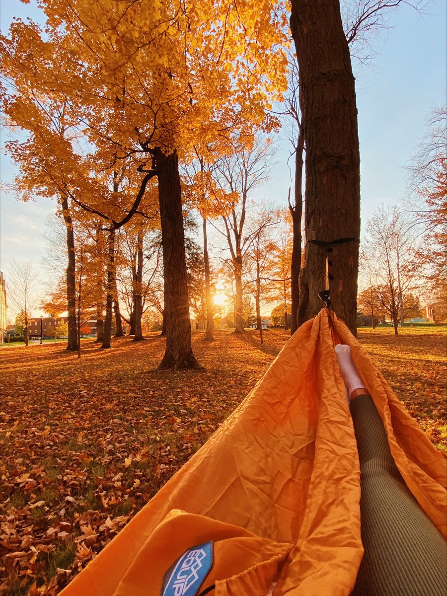 PennWedinboro's tweet photo. Saturday fall vibes at Edinboro. 📸 Sarah Hammerman #GoBoro https://t.co/RLTnqvEKTJ