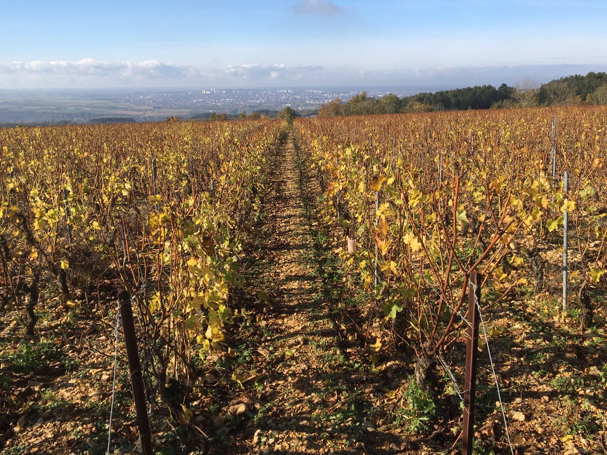 ClaireMarc89's tweet photo. Côtes d’Auxerre entre #Quenne et #SaintBrisLeVineux, vue depuis le plateau … #Auxerre au loin 😊
#VignobleAuxerrois #VinsBourgogne #WineLovers #Yonne89 #Bourgogne #RegionBourgogneFrancheComte https://t.co/5RbzSJrA3e