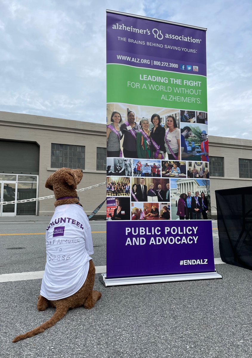 Text AIMWALK to 52886 to tell your representative to increase Alzheimer’s research funding! #ENDALZ